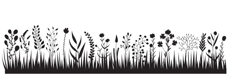 vector, isolated, black silhouette growing grass plants, flowers