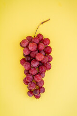 Branch of large ripe red grapes on a yellow background