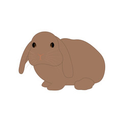 Brown rabbit. Vector illustration.