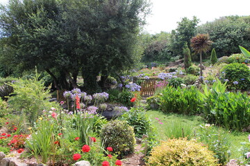 Obraz premium Hoedic