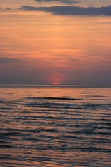 Fototapeta premium sunset in the sea