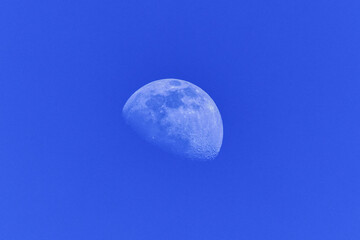 half moon during day light blue sky