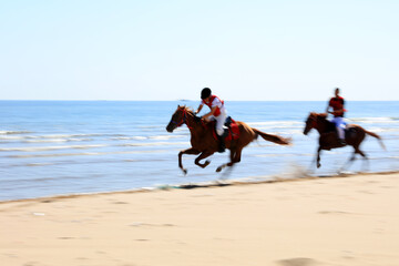 Race horse and jockey galloping on the beach