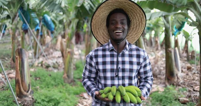 Close up of african man smiling in camera with a bunch of banana at plantation