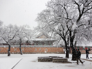 Ancient buildings and stone carvings of Jingfu palace in Seoul, South Korea on a snowy day