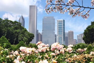 Chicago spring skyline