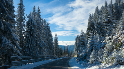 Frozen asphalt road into the mountains and through dense fir forests. Carpathia, Romania.
