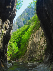 Obraz premium A river flowing through a canyon bordered by vertical stone walls and sharp cliffs. Ramet gorges, Carpathia, Romania.