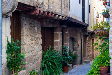 Fototapeta na wymiar streets and houses of San Martin de Trevejo