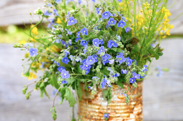 a bouquet of wildflowers of blue daisies and yellow flowers in full bloom in a rusty rustic jar against a background of wooden planks in nature. cottagecore scene