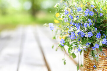 a bouquet of wildflowers of blue daisies and yellow flowers in full bloom in a rusty rustic jar against a background of wooden planks in nature. cottagecore scene. space for text