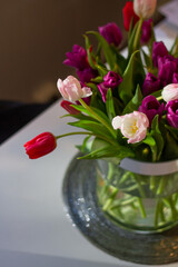 Colourful tulips flower bouquet in clear glass vase