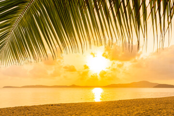 Beautiful tropical beach sea ocean with coconut palm tree at sunset or sunrise