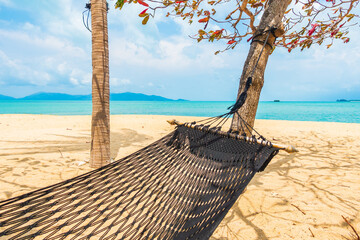 Empty hammock swing around beach sea ocean with white cloud blue sky