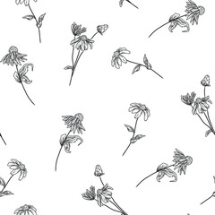 Seamless background, floral pattern, line art with echinacea plant - obrazy, fototapety, plakaty