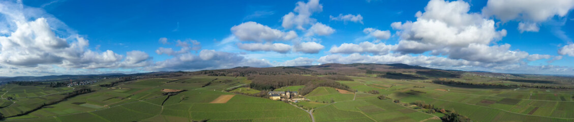 Fototapeta na wymiar A panorama from the bird's eye view with Vollrads Castle, surrounded by vineyards of the Rheingau / Germany 