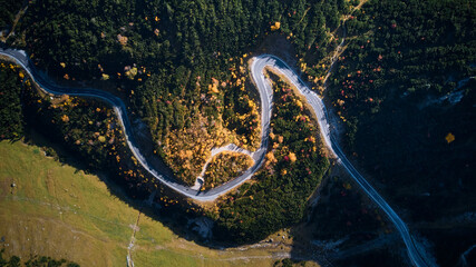 top view of long road in a forest