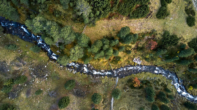 over view of small stream in a forest