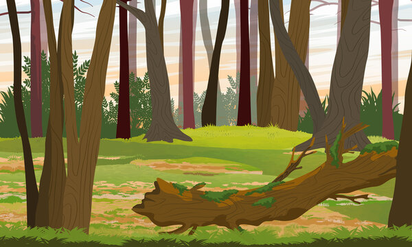 Mixed forest. Tree trunks, bushes and a fallen tree covered with moss. Realistic vector landscape