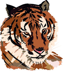 vector illustration of amur tiger. portrait