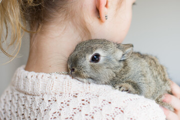 Close-up portrait of young girl with little brown bunny. Symbol of animal care, beauty, love and...