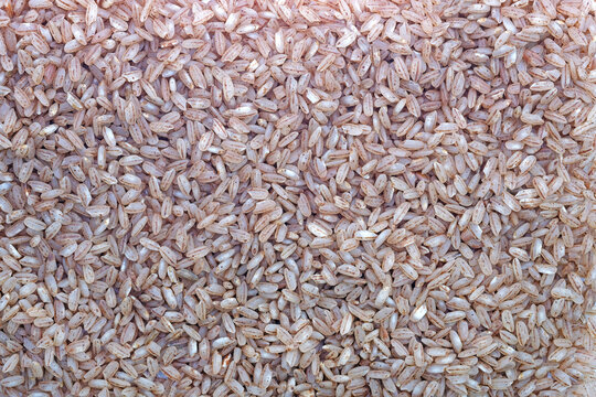 Rice pink matta devzira background. Grains of rice devzira close-up. Pink rice for cooking Uzbek pilaf.