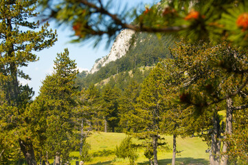 Mountains in Albania ( Gjallica Mountain 2489m)