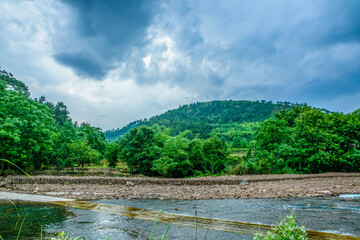 River and forest in summer