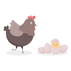 Funny chicken with chicks. The graphic illustration is isolated on a white background. Pets for printing postcards, fabrics, textiles, children's assignments