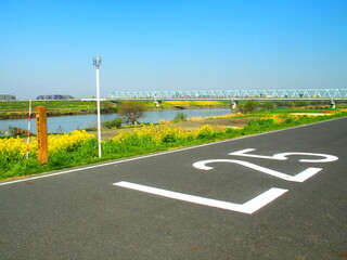 菜の花咲く海から25キロメートルの江戸川土手左岸風景
