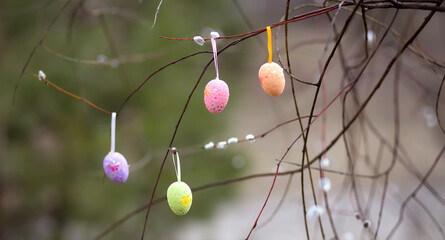 Holidays and object concept - close up of pussy willow branches decorated by multicolored easter eggs. Selective focus. Easter banner, postcard