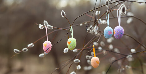 Holidays and object concept - close up of pussy willow branches decorated by multicolored easter eggs. Selective focus. Easter banner, postcard