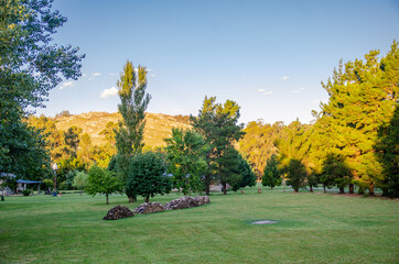 autumn landscape with trees