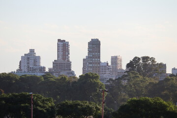 Vista de edificios altos de la ciudad, que quedan detrás de los arboles.