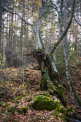 walking beetwen mountains near of madrid