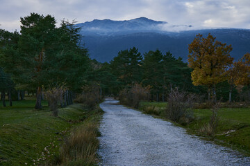 Fototapeta na wymiar walking beetwen mountains near of madrid