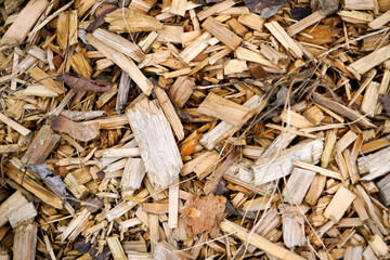Natural wood with a fine structure, photographed outdoors in daylight