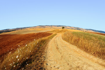 Road between fields in Tuscany.