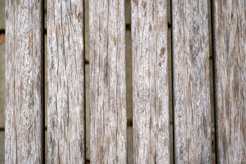 Natural wood with a fine structure, photographed outdoors in daylight