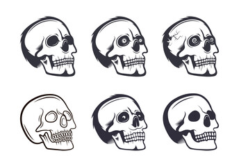 Skull Collection