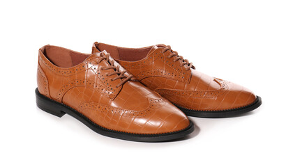 Stylish elegant leather shoes isolated on white