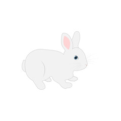 White rabbit. Vector illustration.