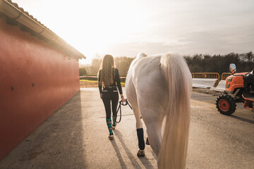 Young woman walking with a horse through the equestrian centre