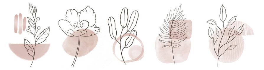 Set of abstract floral pastel line art elements.