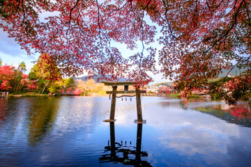A autumn leaves with a shrine in the Kirin Lake, Yufuin Town, Oita, Japan