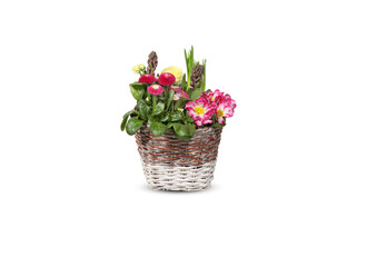 basket of flowers isolated on white background​ with​ clipping​ path​