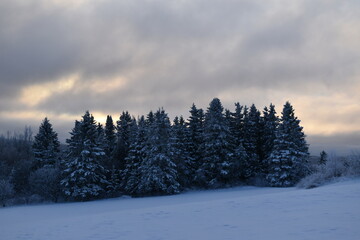 A cold February morning, Sainte-Apolline, Qu&eacute;bec