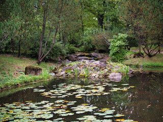Pond on the edge of the forest