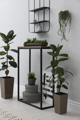 Console table with houseplants near light wall in room. Interior design