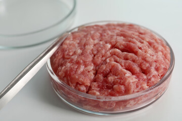 Petri dish with raw minced cultured meat and tweezers on white table, closeup